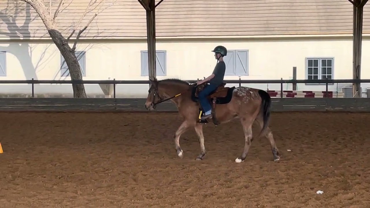 183-Joseph Poteet and Red horsemanship wt March 2026 