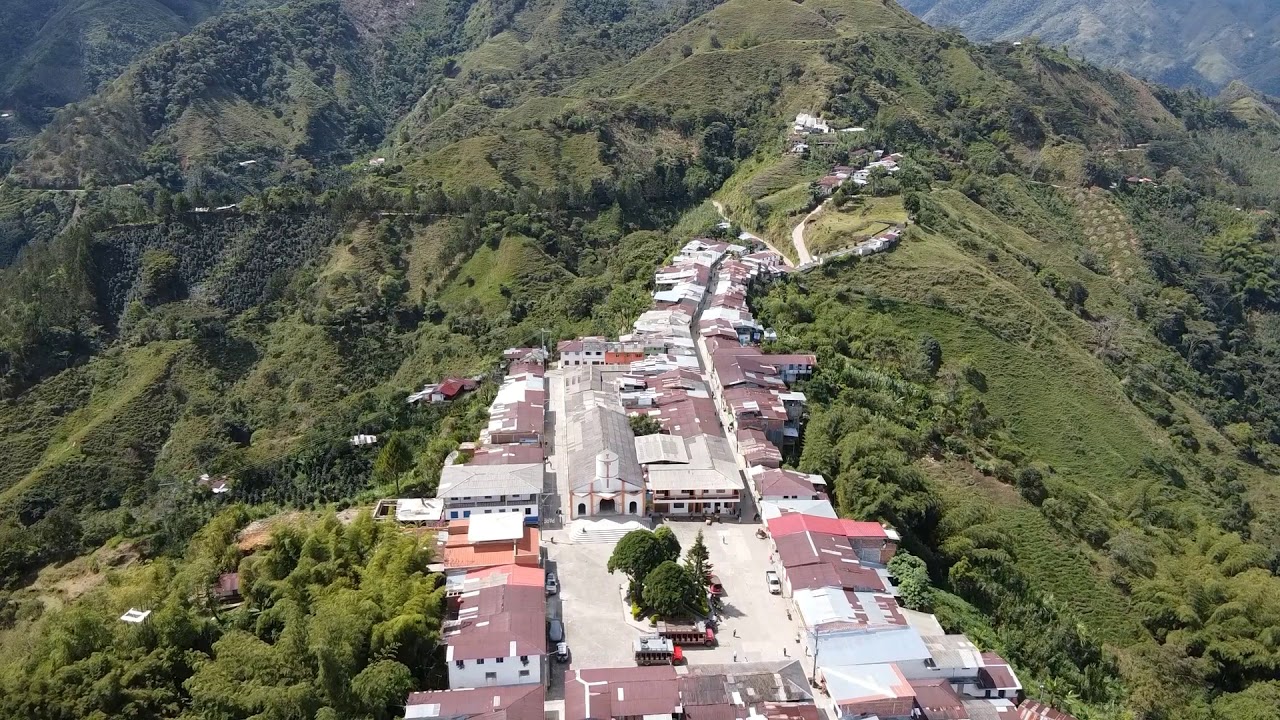 ARBOLEDA EN DRON