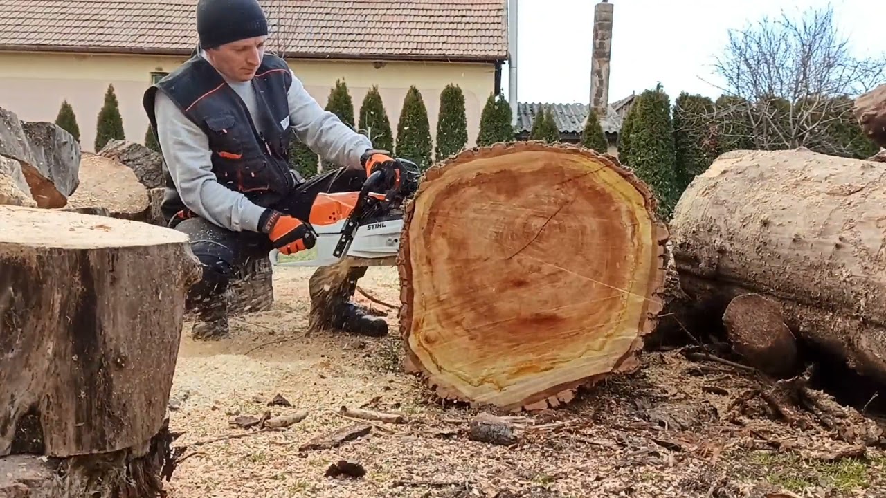 Stihl MS 462