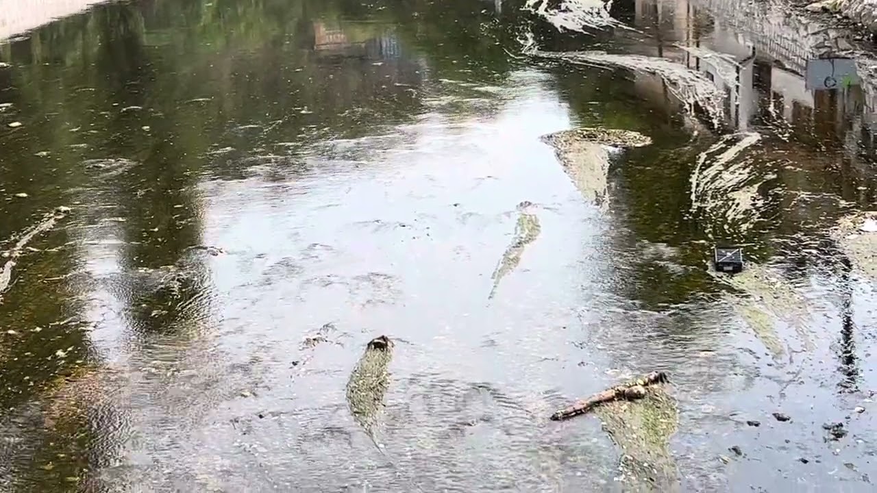 The Miljacka River, Sarajevo, Bosnia and Herzegovina
