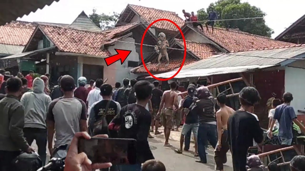 7 Extra&ntilde;as y aterradoras criaturas captadas en videos