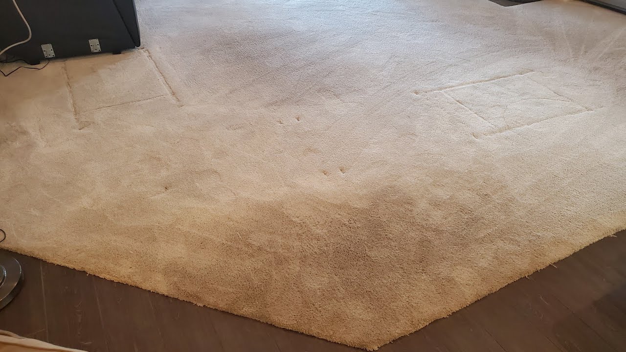 Extremely Plush Carpet Cleaning