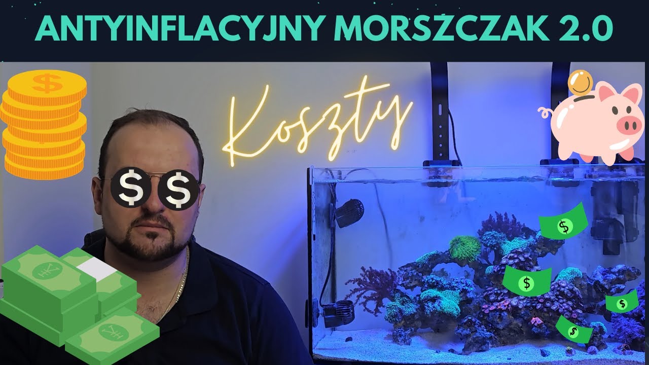Akwarium morskie - Jak zacząć część 2 czyli koszty w 2023/24 r plus początki zbiornika