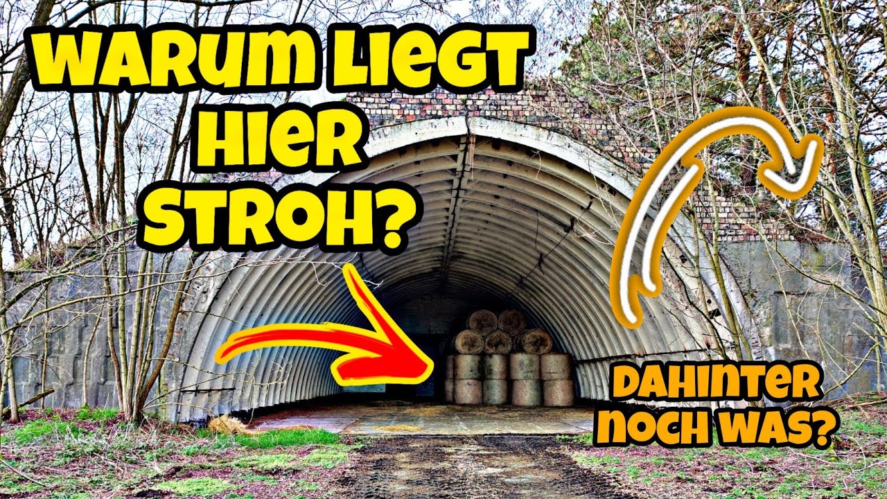 Flugzeughangar/ Die suche auf dem verlassenen Flugplatz 6/12