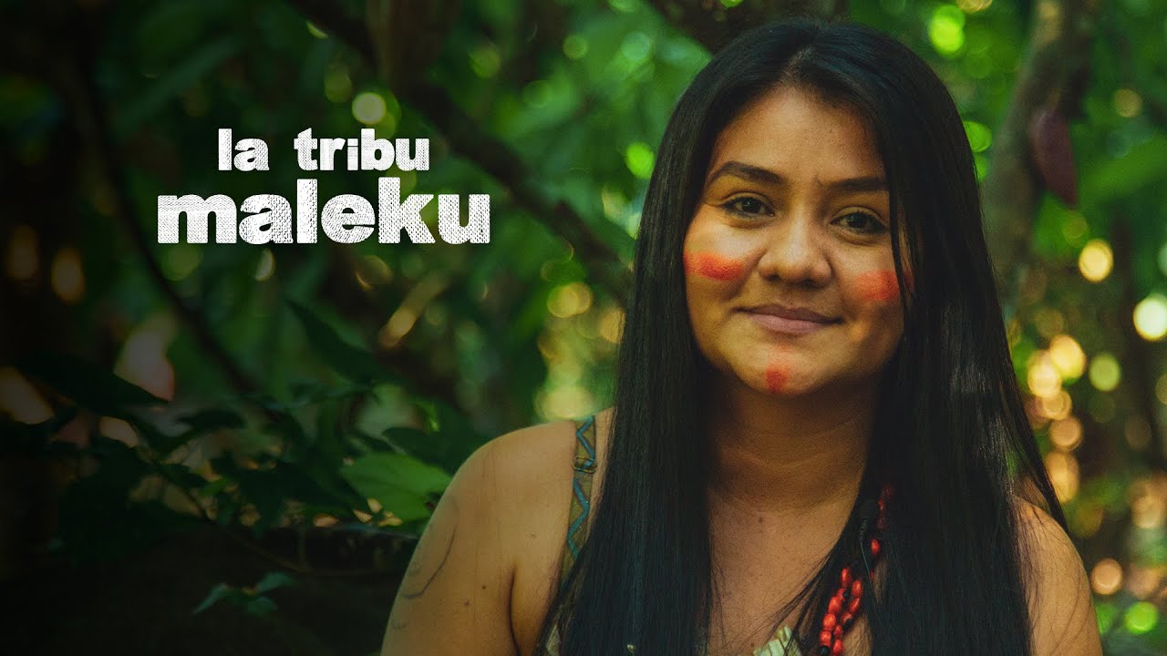 ПЛЕМЯ МАЛЕКУ | шелковица хики