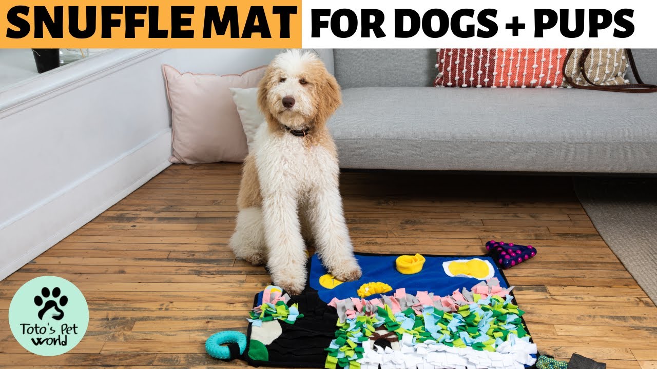Snuffle Mat for Large Dogs - Feeding Mat - Dog Activity