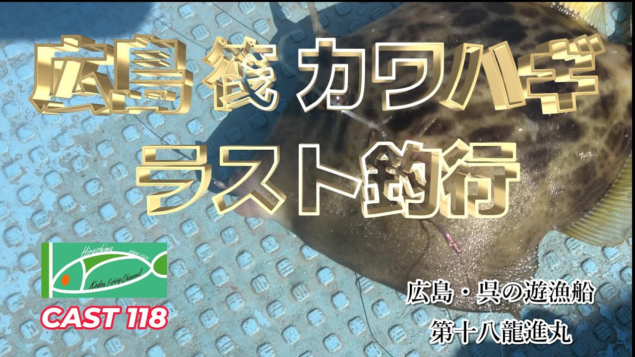 CAST118 広島 筏カワハギ ラスト釣行  in 第十八龍進丸