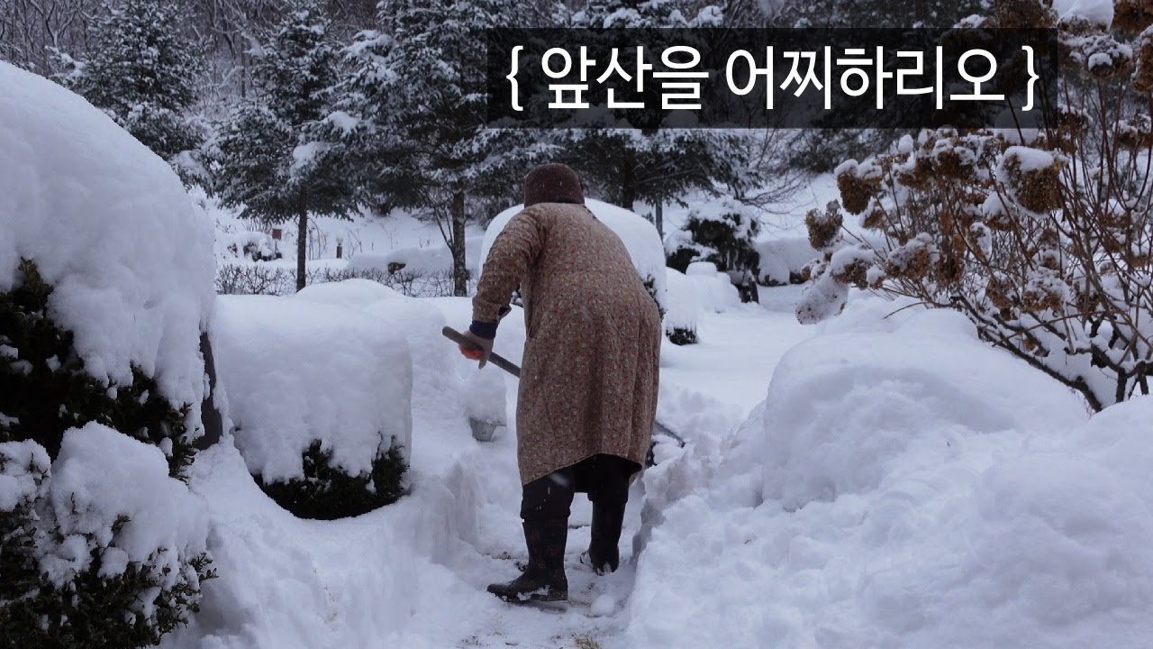 폭설, 앞산 가꾸기에 대한 고민, 겨울왕국 조씨네｜EP.88