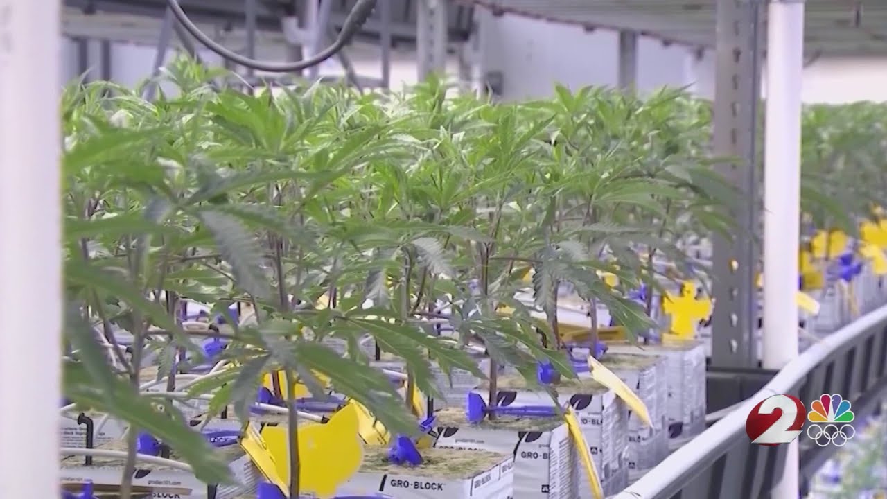 Ohio Statehouse debating restrictions on recreational marijuana