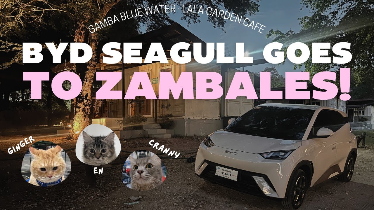 BYD Seagull goes to Zambales | BYD Pampanga | Samba Bluewater | Lala Garden Cafe | Cat Vlog 2025
