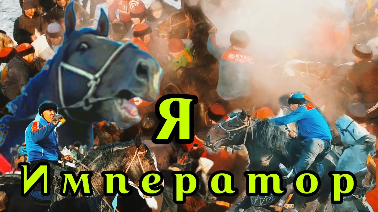Император 🔥🔥🔥 Ар пендеге ушундай Аргымак насип кылсын 🤲🤲🤲