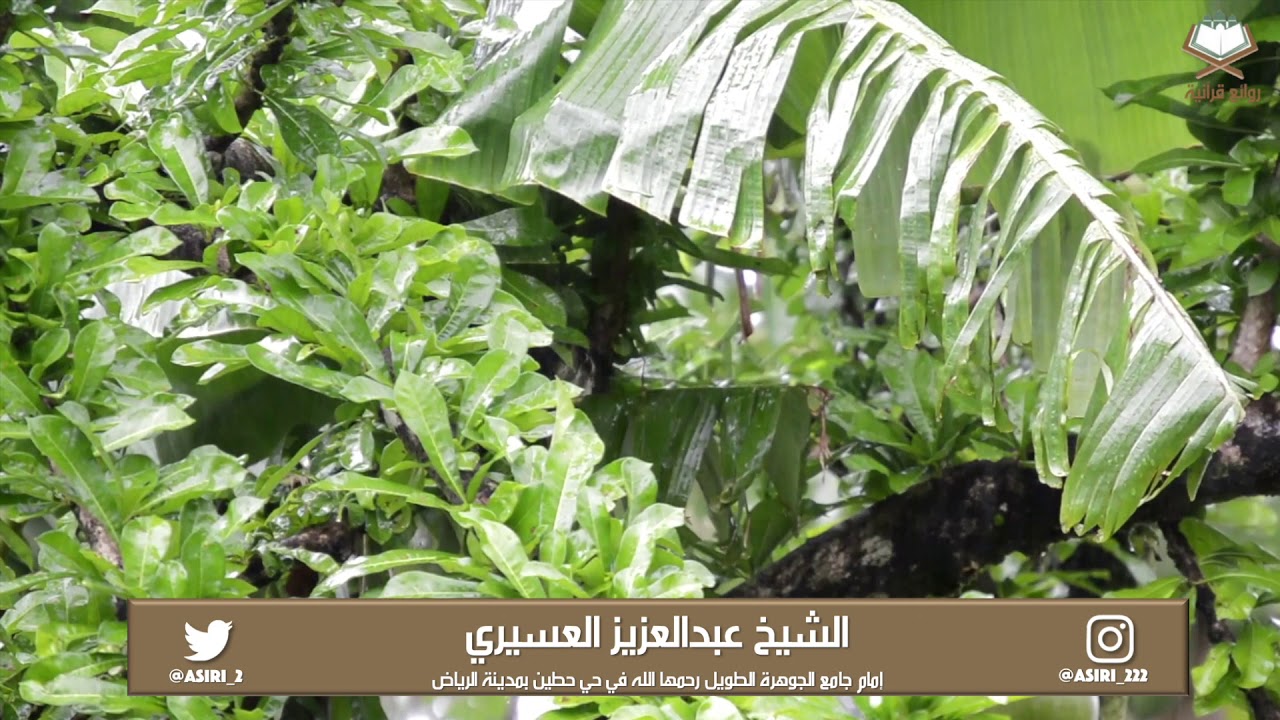 ترتيل بديع وخاشع للشيخ عبدالعزيز العسيري سورة الرعد كاملة ليلة ١٣ #رمضان ١٤٤٠