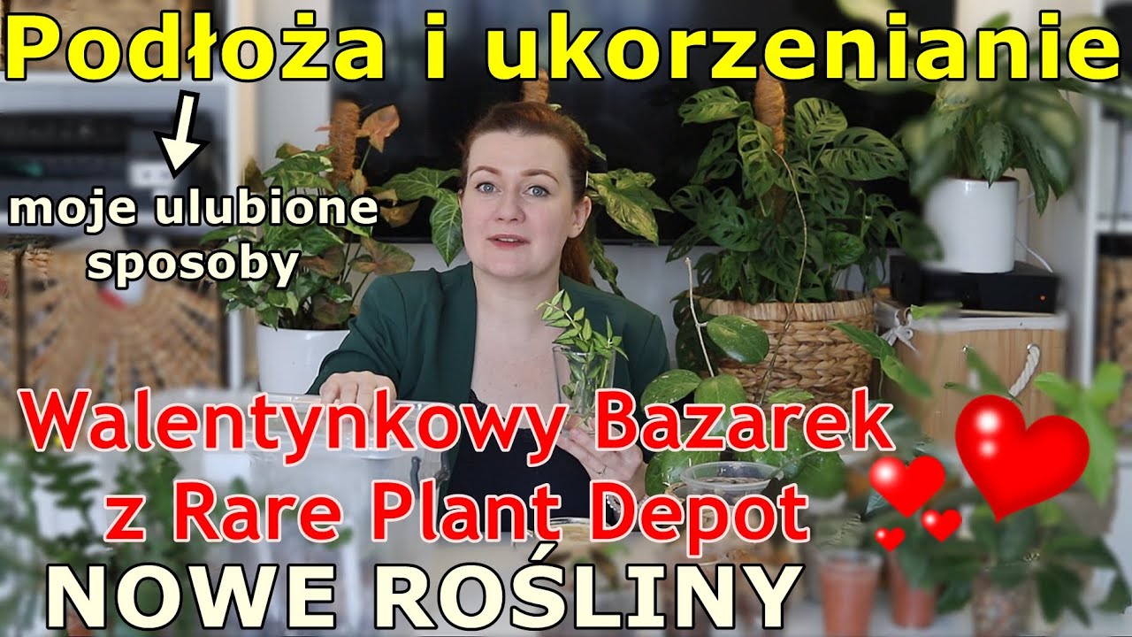 💥💥Walentynkowy Mystery Box ❤️ wolę hydroponikę czy ziemię? 🧐moje ulubione sposoby na ukorzenianie 🌱