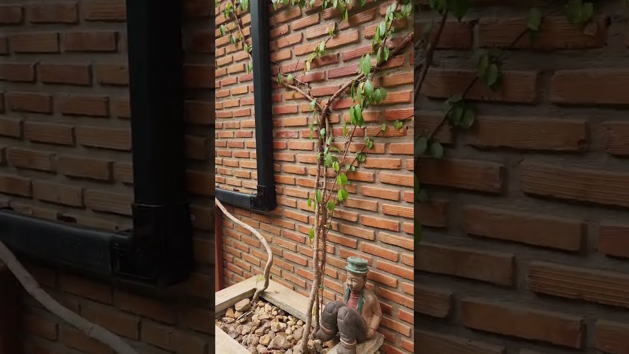 SANTI BEACH RETREAT CHUMPHON THAILAND