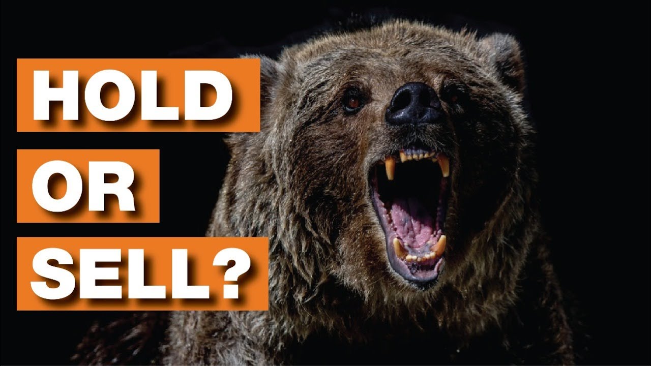 You Should Do *This 💥* In A BEAR MARKET