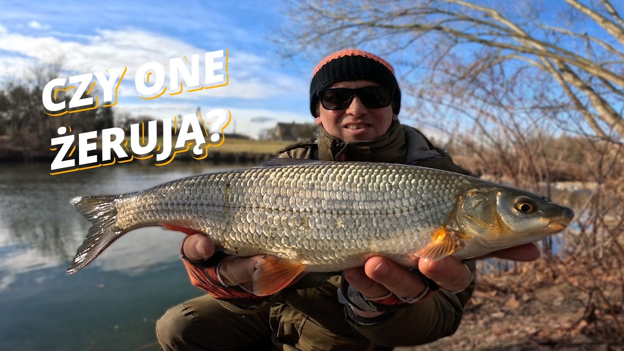 Zimowa rzeka i ultralight 3,5 mm – trudne brania w lutym