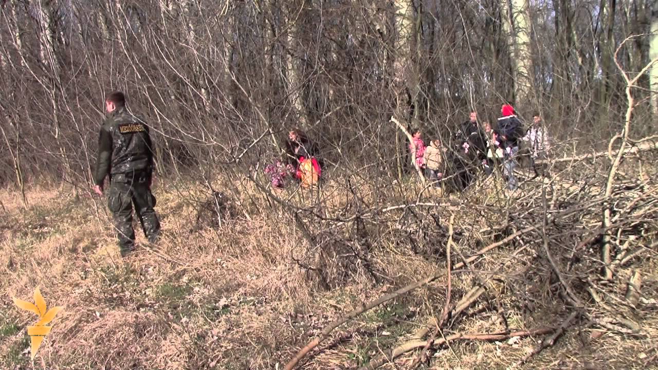 Migranti sa Kosova: Prelazak granice Srbije i Mađarske