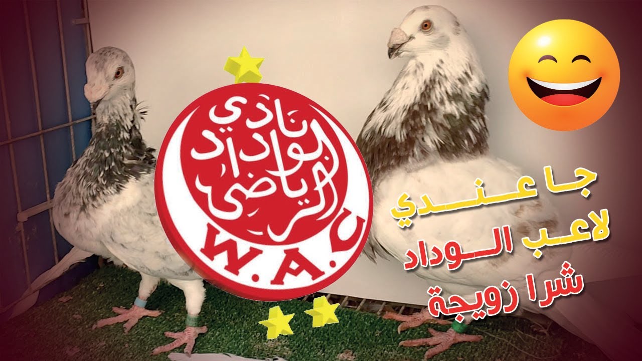 لاعــــب الـــوداد الرياضي إشترى مـن عند يــاســـين حمام الزينة زويجة الخنيسي طـــوب الله يسخرليه😍💪👇