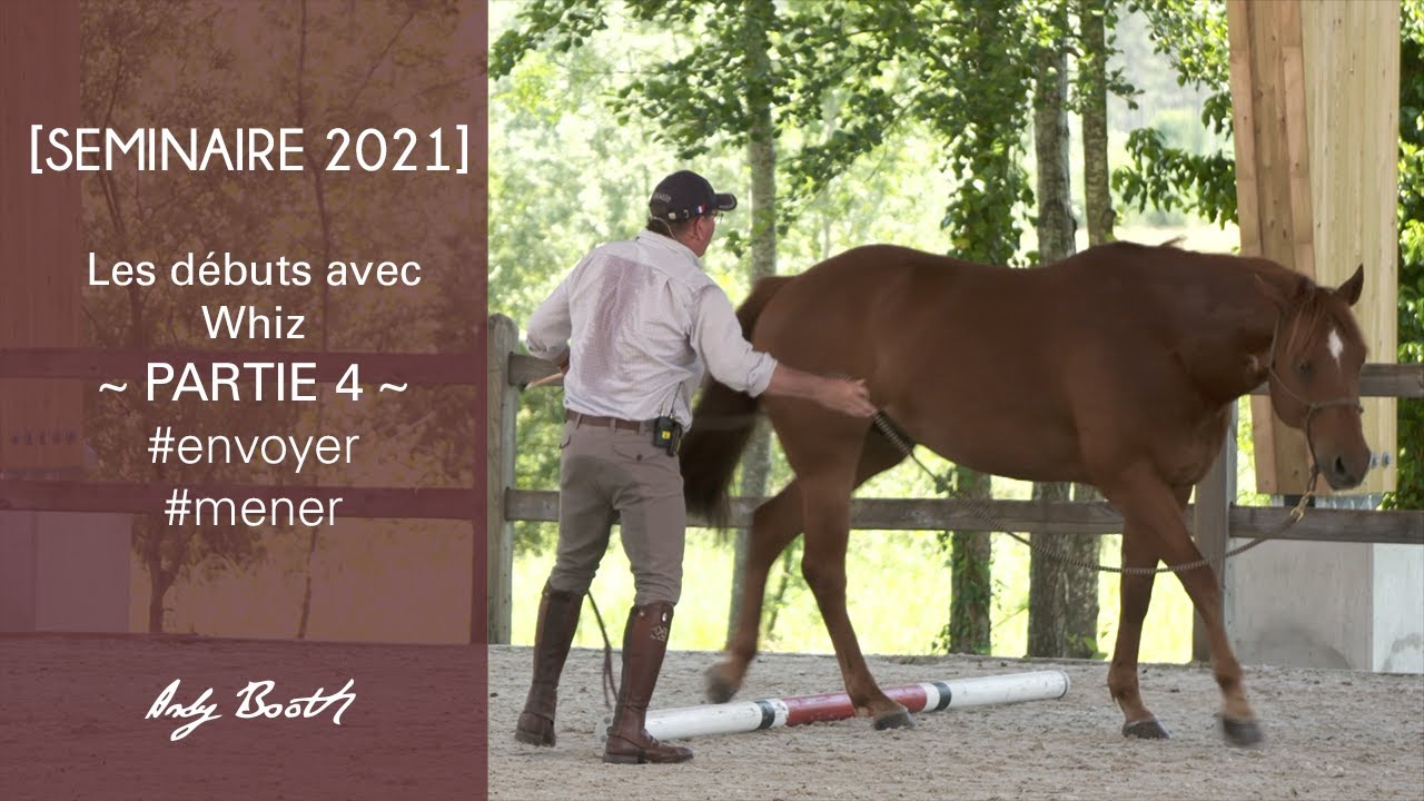 [ Séminaire 2021 ]  Les débuts avec Whiz • PARTIE 4 • #envoyer  #mener