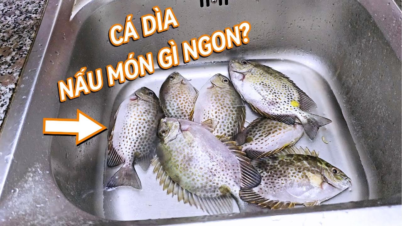 2024 T.02 - Câu Cá Và Nấu Ăn - Canh cá Dìa Nấu Mẵn