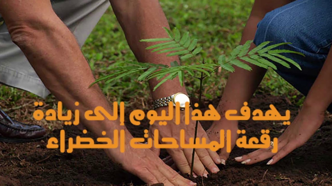 يوم الشجرة العالمي