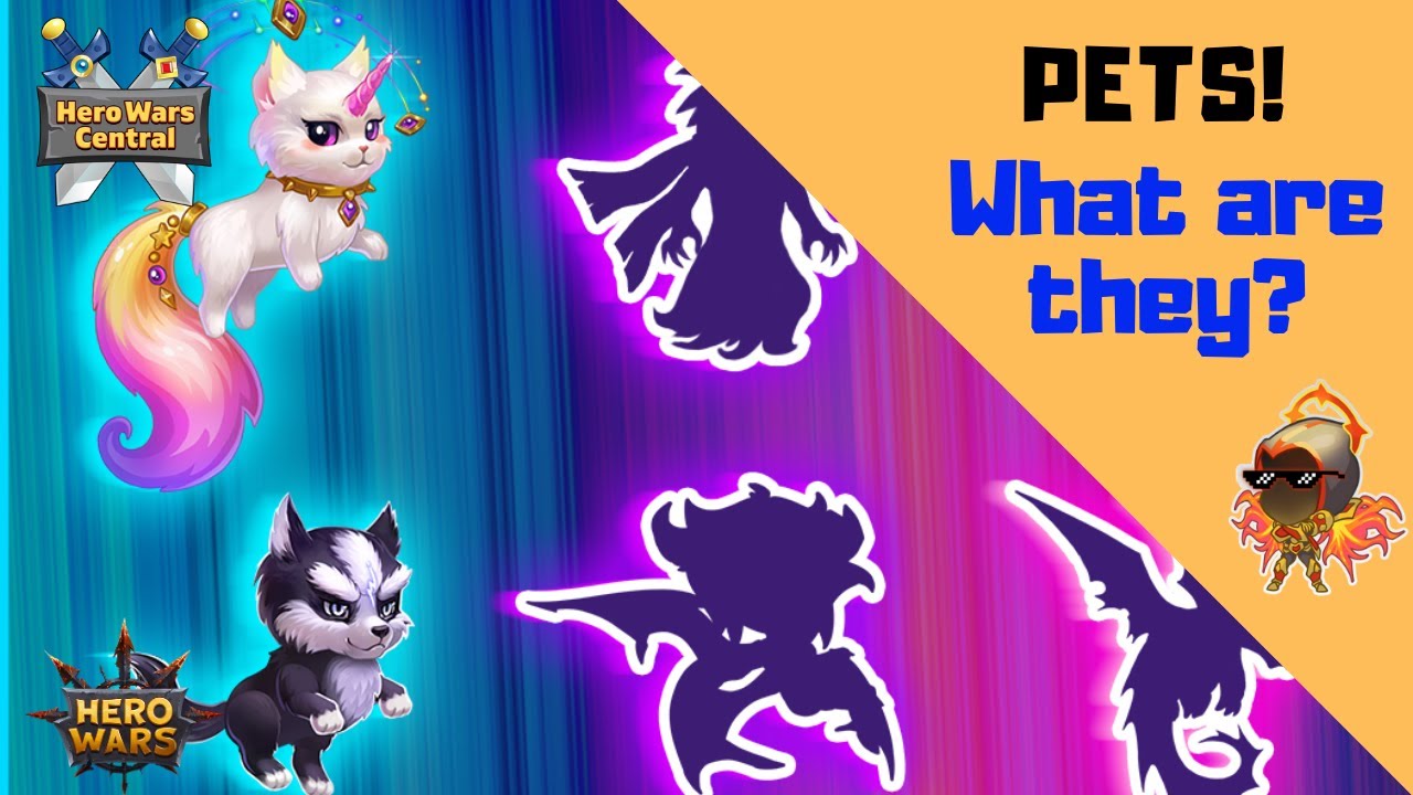 Hero Wars | Pets! What are they?! Facebook Only