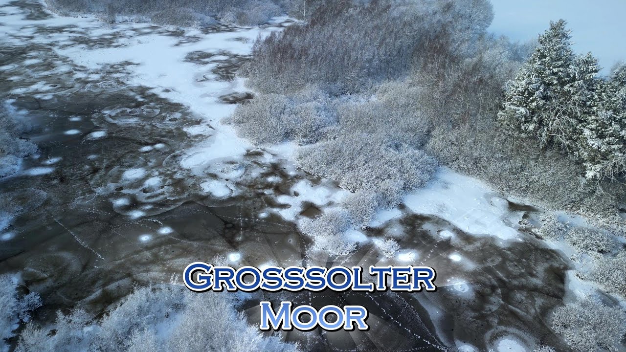 Großsolter Moor im Winter