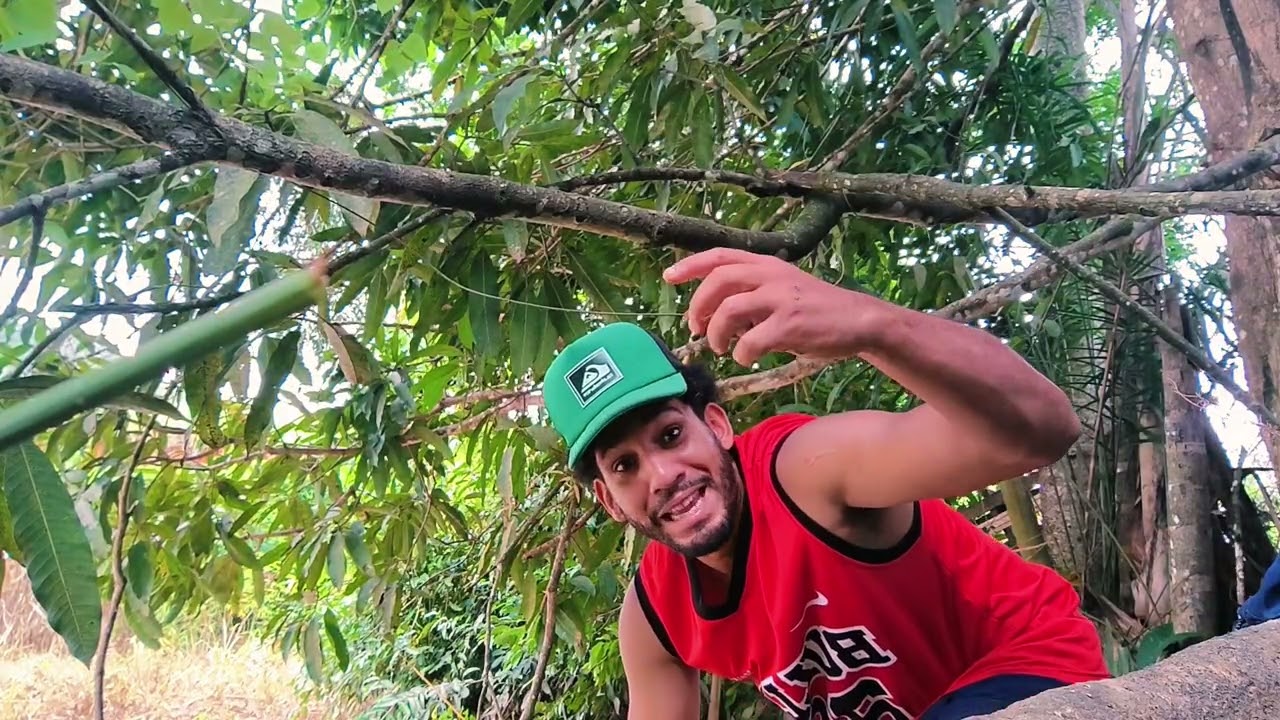 UMA DIA DE PESCA SO DE LAMBARI, UMA PESCARIA QUE VC TEM QUE SER MAIS RAPIDO🐟🎣 ACOMPANHAR COMIGO 🤝