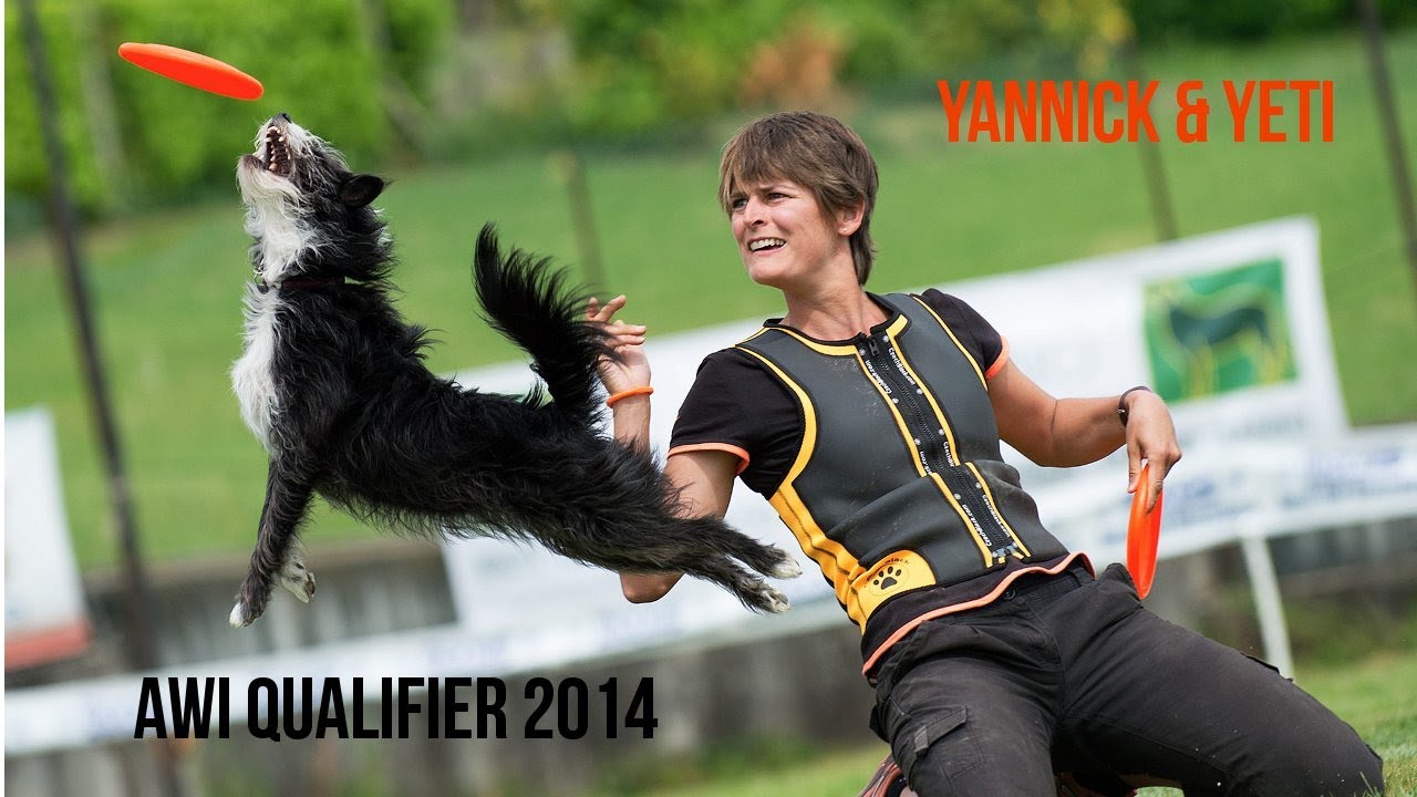 disc dog Awi qualifier 2014 - Yannick and Yeti