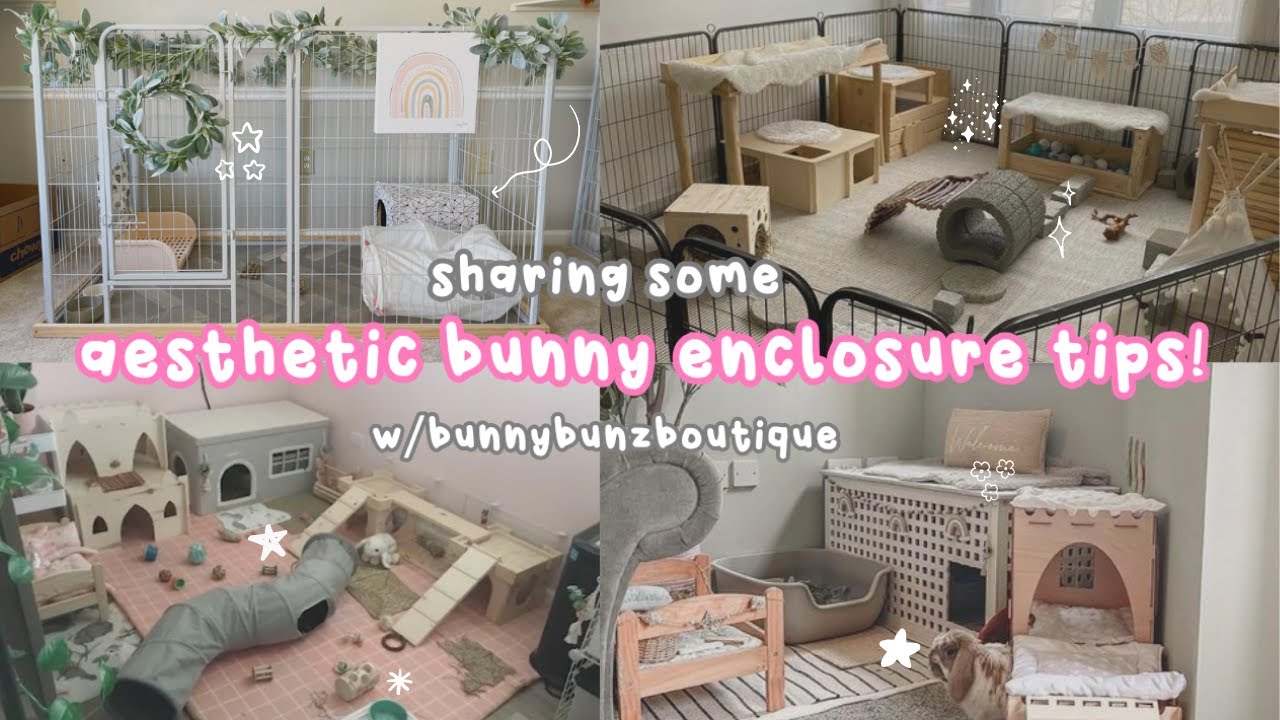 how to make your bunny enclosure AESTHETIC | collab w/bunnybunzboutique