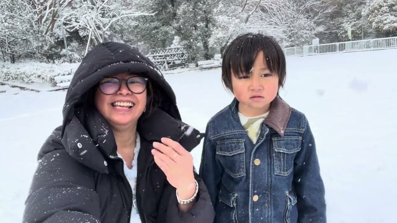 First snow in Chiba, Japan this year 2026 #snow 
