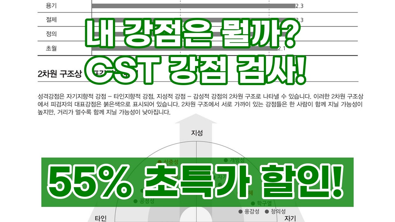CST 강점 검사: 내 안의 숨겨진 잠재력을 발견하고 행복해지는 법 (긍정심리학 성격 스트렝스)