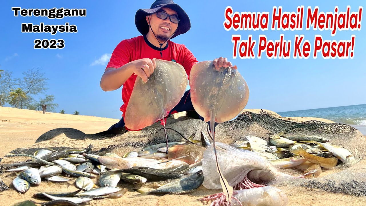 🇲🇾PERTAMA KALI MENJALA DAPAT KUMPULAN BABY GT! | BALIK TERUS CELUP TEPUNG! | Traditional Cast Net