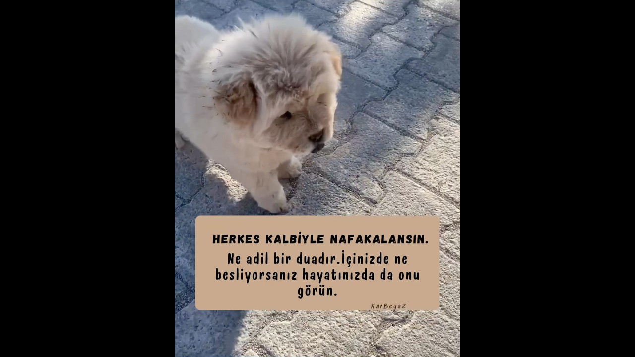 Seni yaradana kurban nasılda güzel🤲