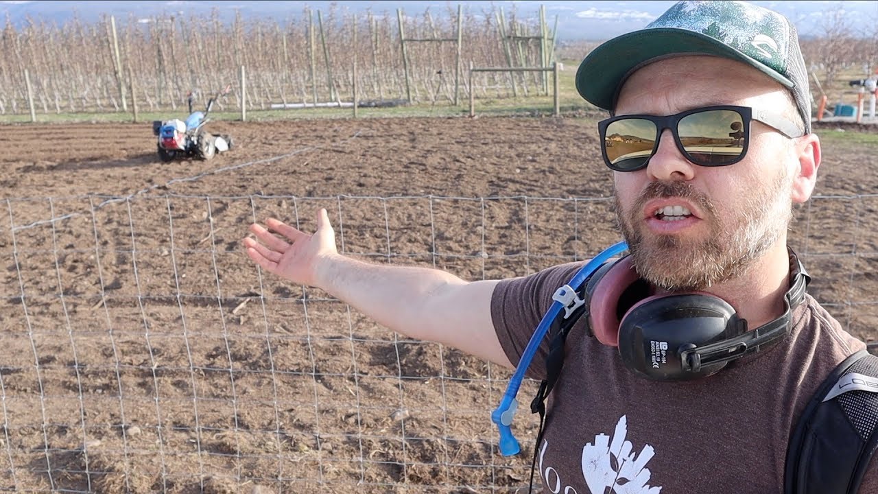 Rototilling Trade-offs: Finding the Right Balance for Your Soil