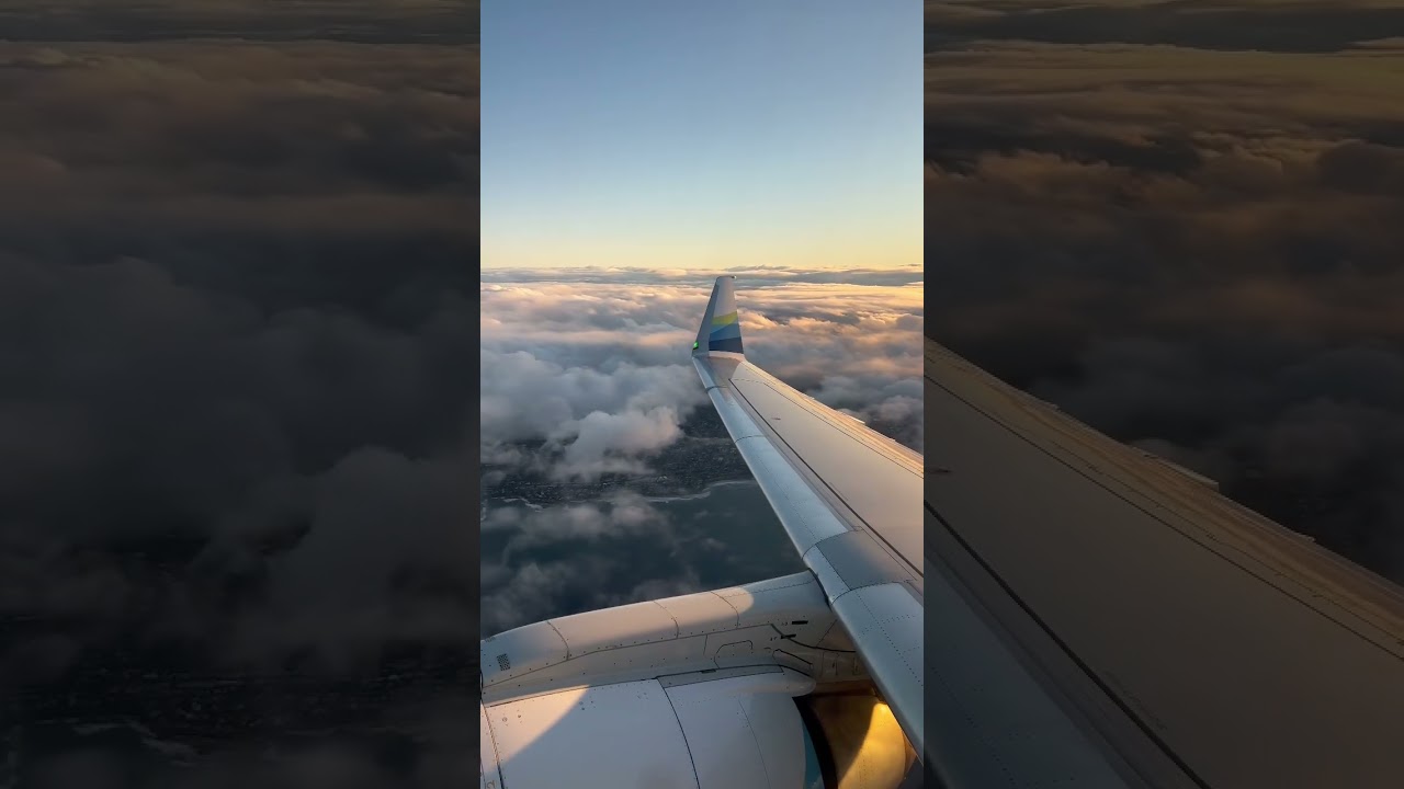 Watching the Sunrise from a plane #plane #sunrise #flight #travel #beach #views #ocean  #top #shorts