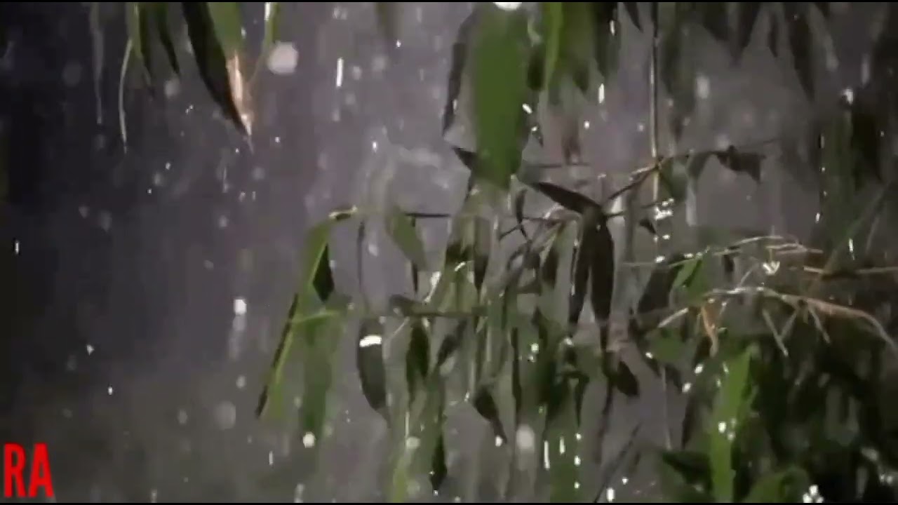 suara hujan penghantar tidur // Relaxasi Rain // 8 menit
