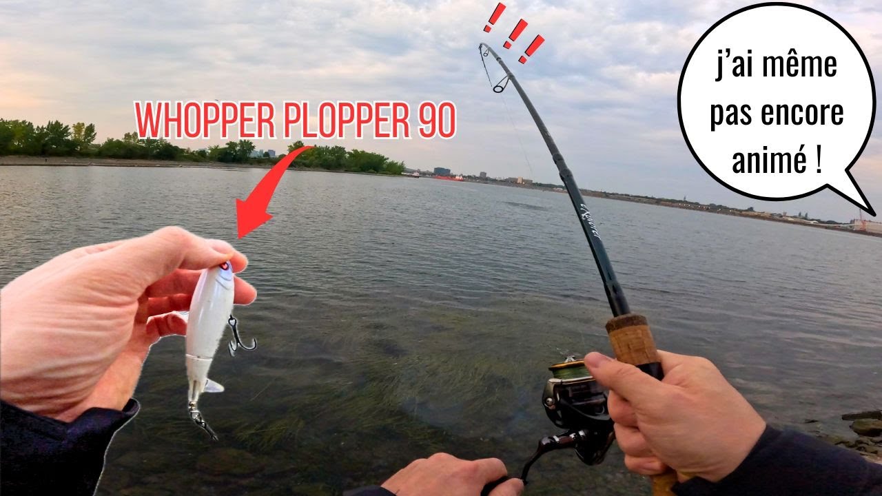 Je pêche juste à coté d'une TEUF ! 🎶🎣 🔥 ➡️ Nouvelle espèce DÉBLOQUÉE ! 🔓🐟 ( Fleuve Saint Laurent )