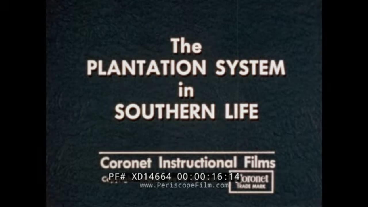 “ THE PLANTATION SYSTEM IN SOUTHERN LIFE 