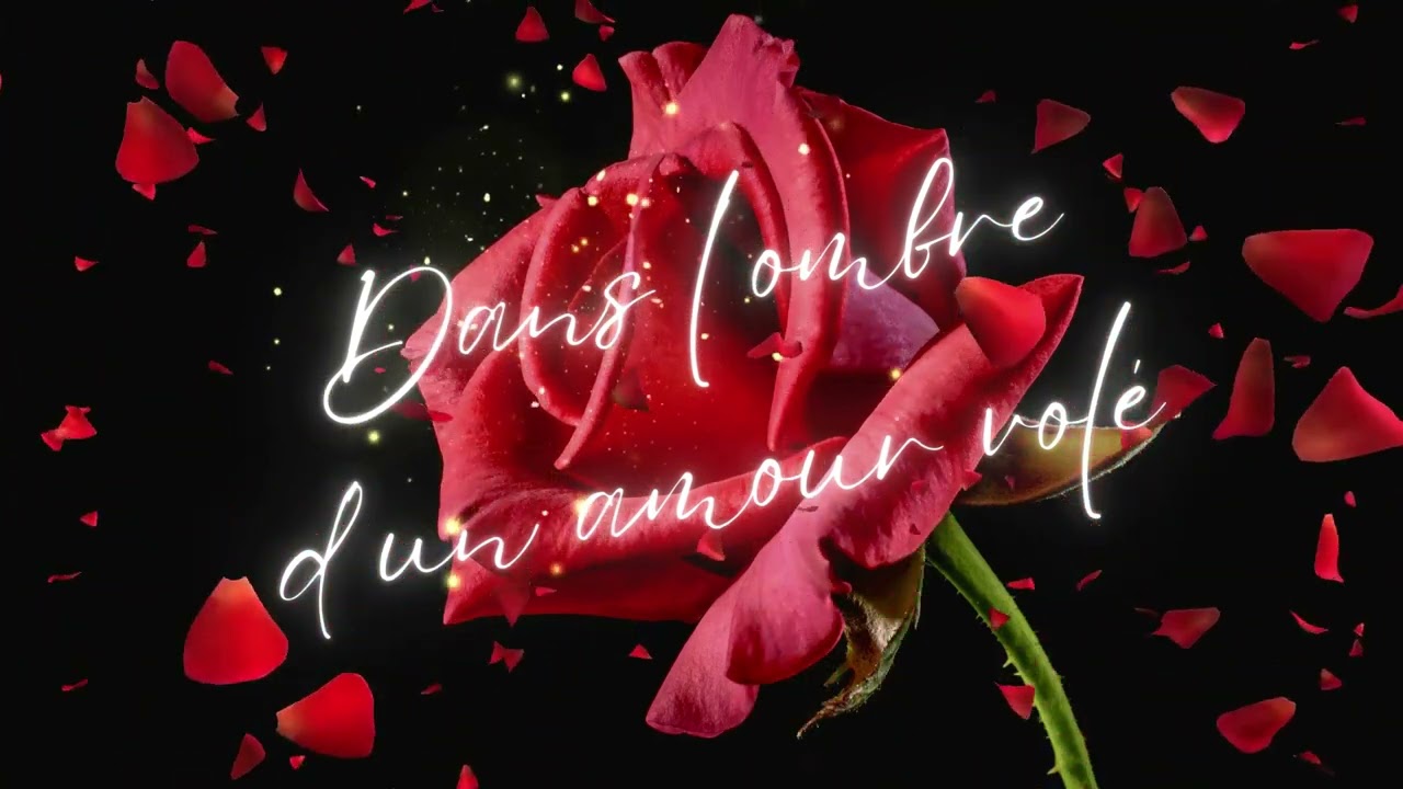 Dans l’ombre d’un amour volé