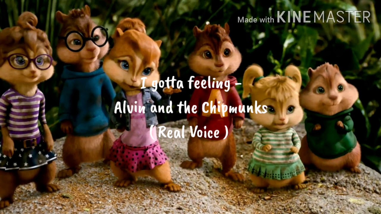 I gotta feeling - Alvin and the Chipmunks ( Real Voice )
