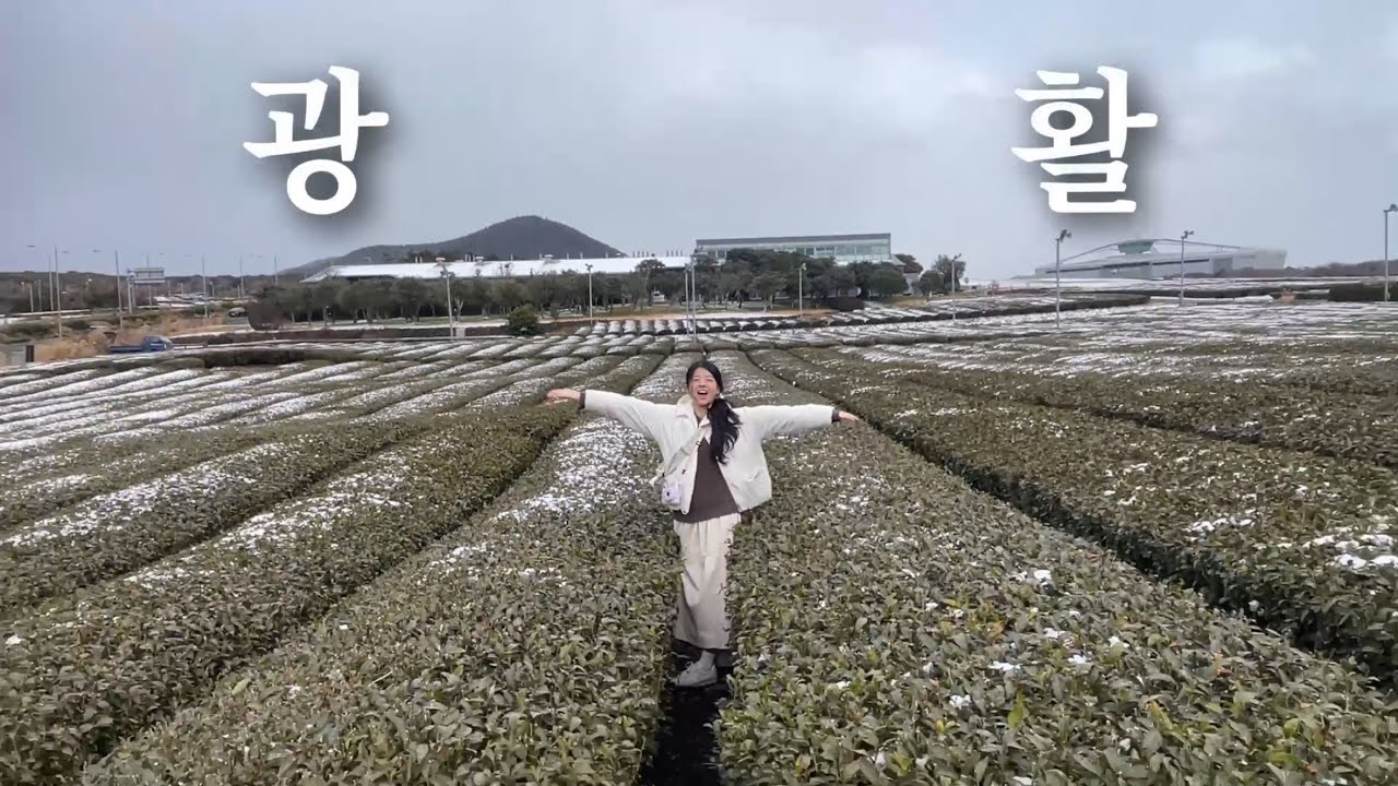 AI에게 진 인간의 삶 (2025 제주 브이로그)