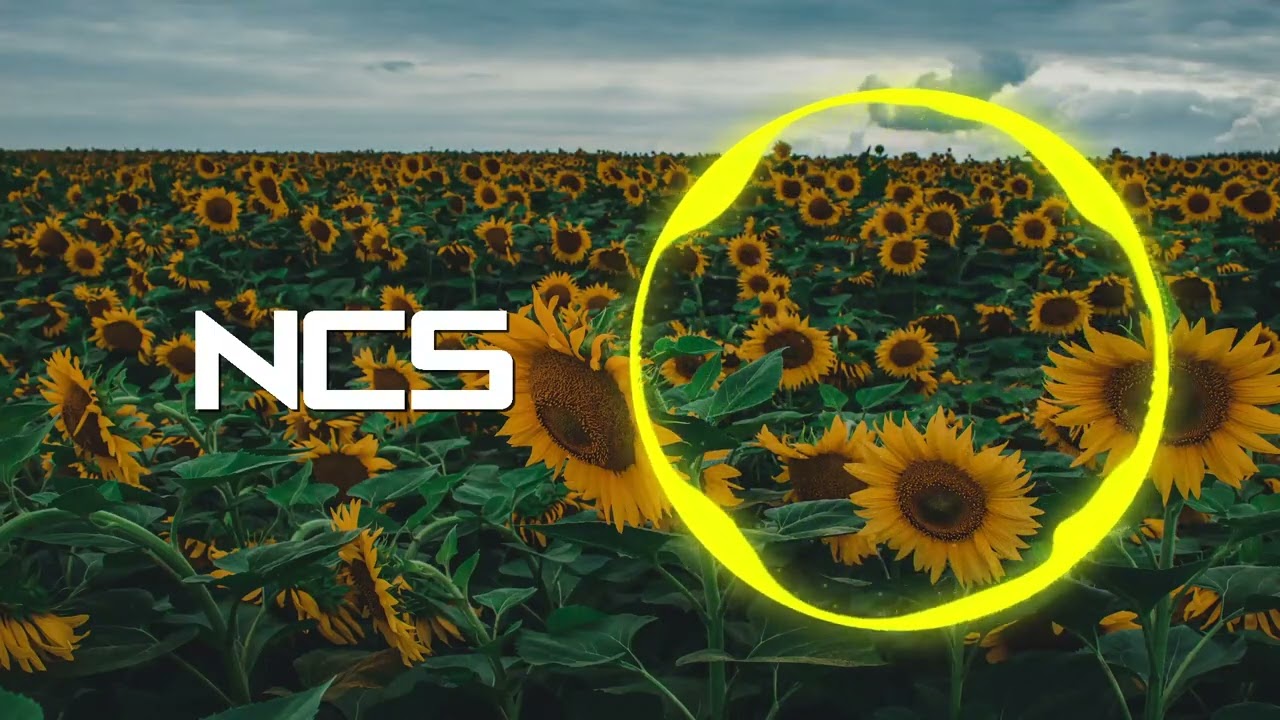 Electrol & GWN - Stay With Me pt.II | Future Bounce | NCS Fanmade