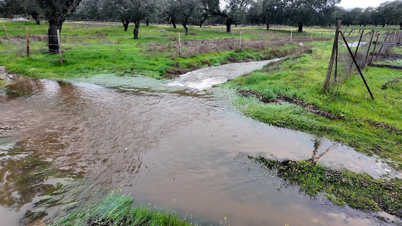 The seasonal creek