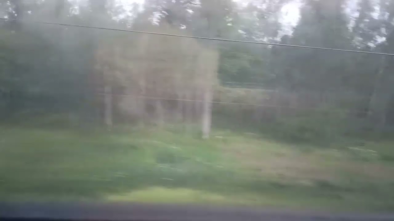 Лозовицы-Сущёво из окна поезда.