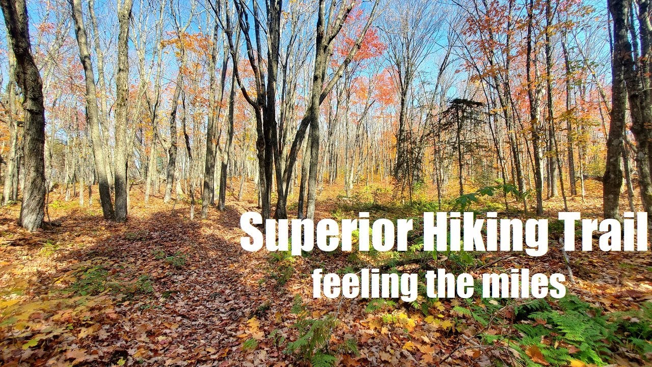 Overnight - Superior Hiking Trail | Day 2 – East Poplar River to Lutsen, MN