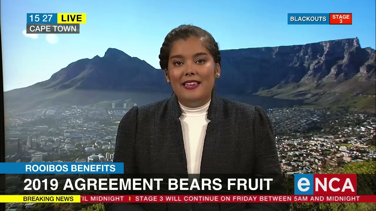Rooibos pays out R12m to Khoi and San communities