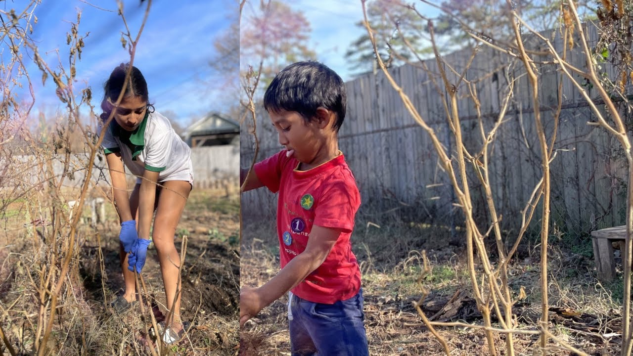 Gardening  🧑‍🌾 Tips Fun And Engaging Gardening Activities For Kids