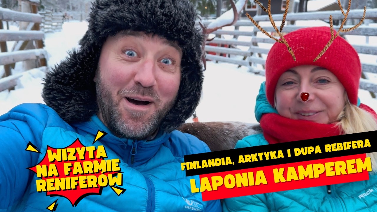 LAPONIA 🇫🇮 🚐 Arktikum w Rovaniemi i JAZDA RENIFERAMI