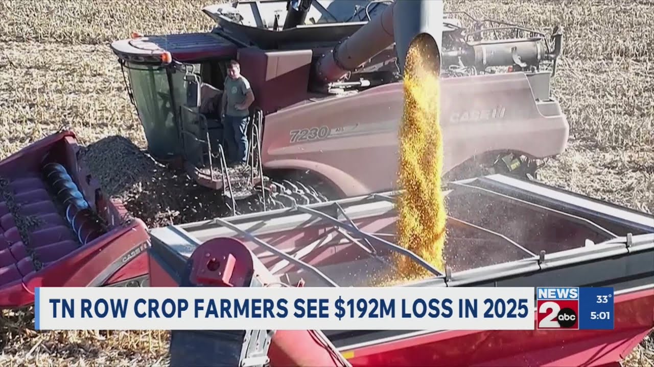 TN row crop farmers see $192M loss in 2025